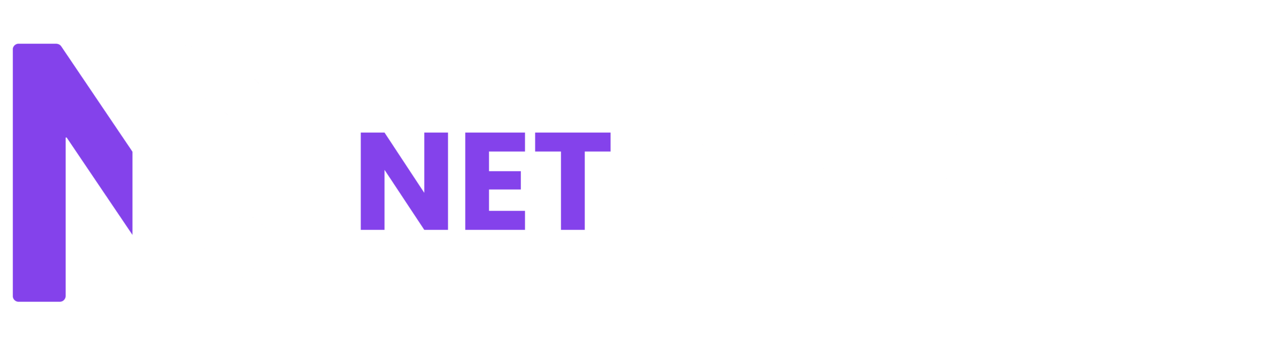 Net Consult